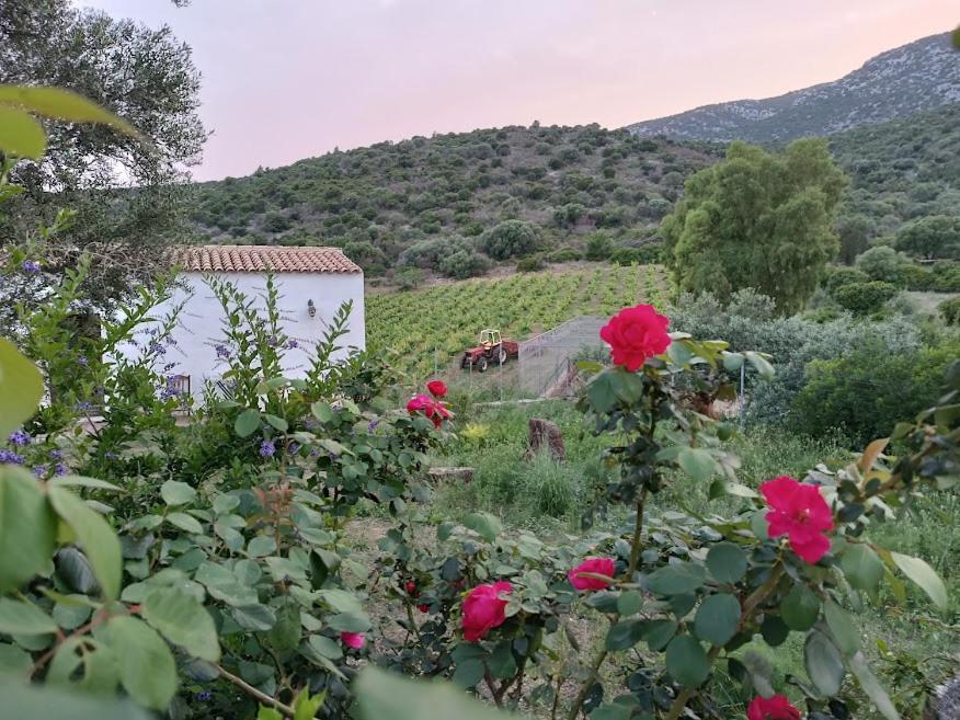 Sa Conca Ruia Agroturismo