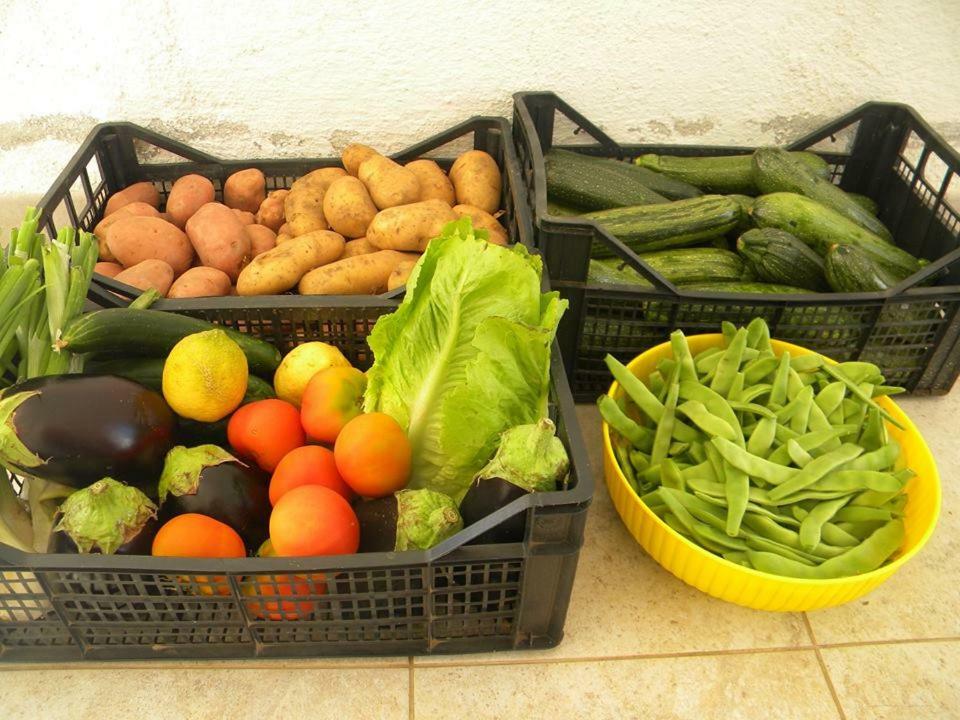 Sa Conca Ruia Agroturismo