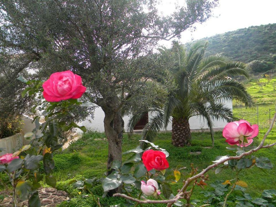Sa Conca Ruia Agroturismo Orosei